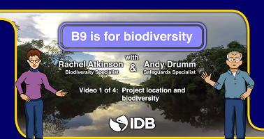 biodiversity