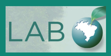 lab
