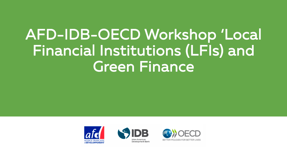 AFD-IDB-OECD-Workshop_en