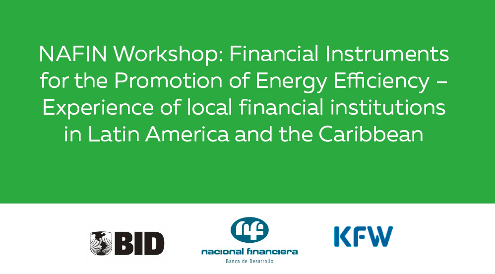 Financial-Instruments-for-the-Promotion_en