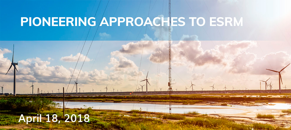 Pioneering-approaches-to-ESRM-_en
