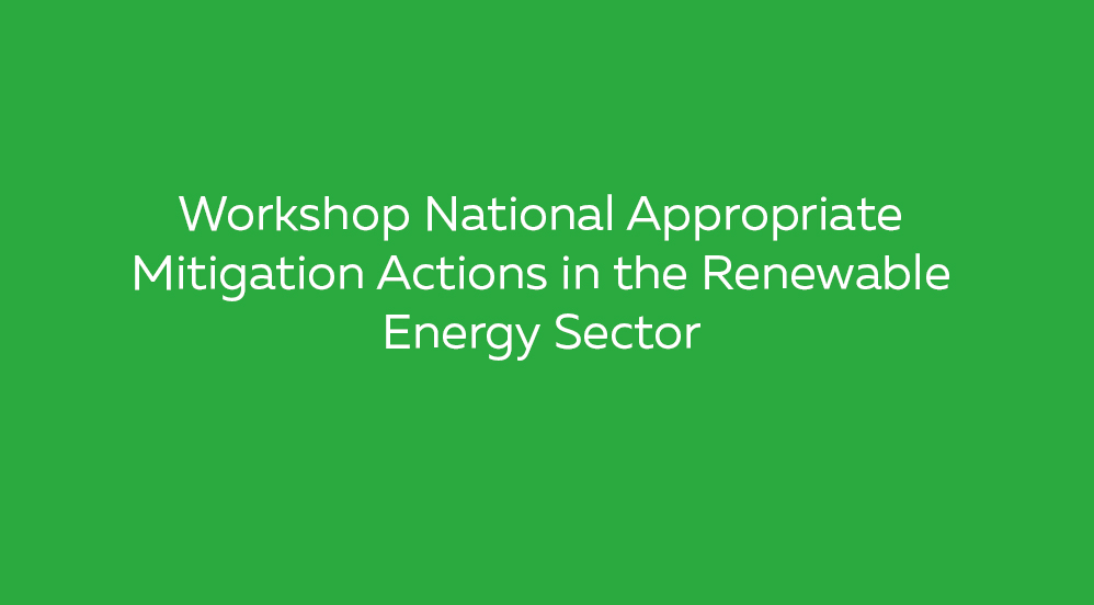 Workshop-National-Appropriate-Mitigation-Actions