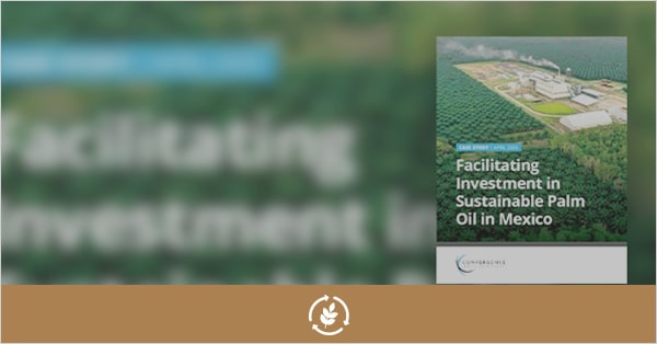 Facilitating investment in sustainable palm oil in Mexico