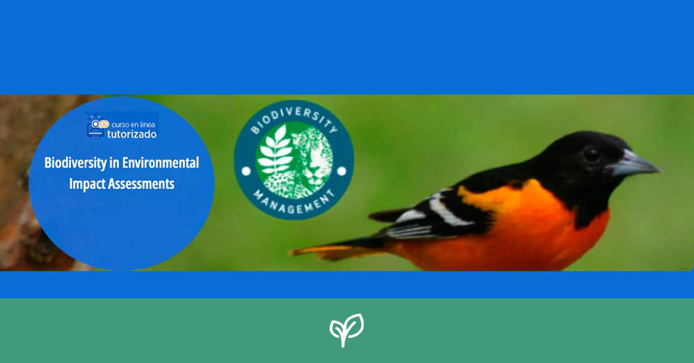 Biodiversidad en Estudios de Impacto Ambiental (BEIA)