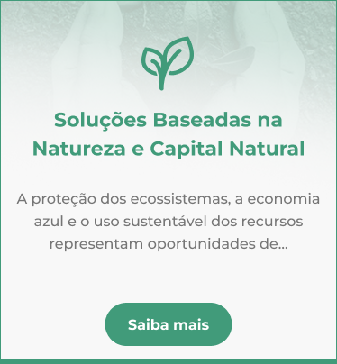 sbnmpt